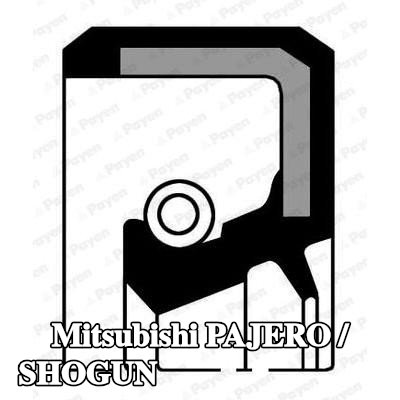 PAYEN حشية العمود، المحرك المساعد — Mitsubishi Pajero / Shogun
