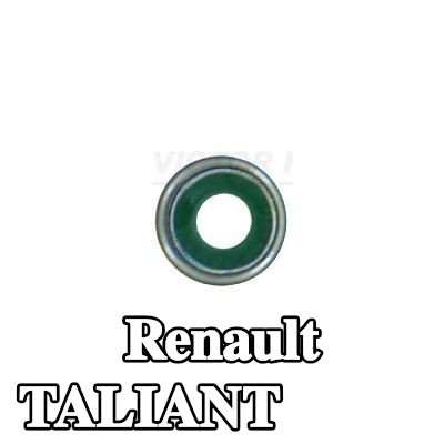 REINZ حشية صمام — Renault Taliant
