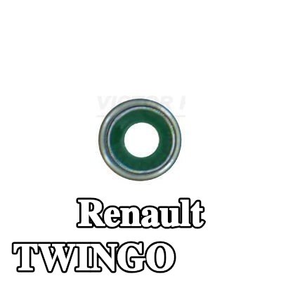 REINZ حشية صمام — Renault Twingo