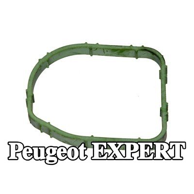 CITROEN/PEUGEOT حشية غطاء منظم الحرارة — 1996 Peugeot Expert
