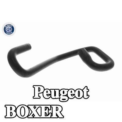 VAICO خرطوم المبرد — Peugeot Boxer