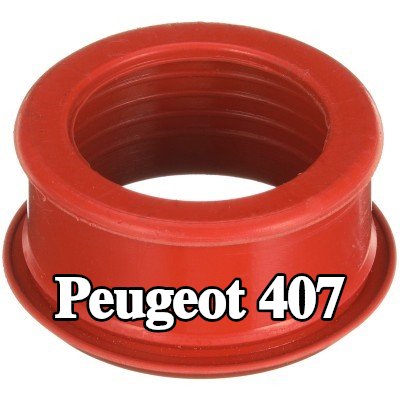 GATES خرطوم تزويد الهواء — 2004 Peugeot 407