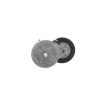 SKF Gergi kasnağı Ø: 65mm — Renault Mascott (3)