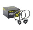 RIDEX PLUS V-Oluklu Kayış Seti — Renault Laguna (1)