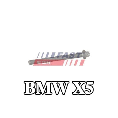 FAST برغي مشبك الحاقن — BMW X5