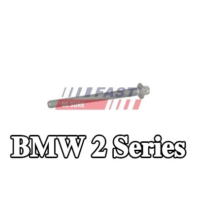 FAST برغي مشبك الحاقن — BMW 2 Series
