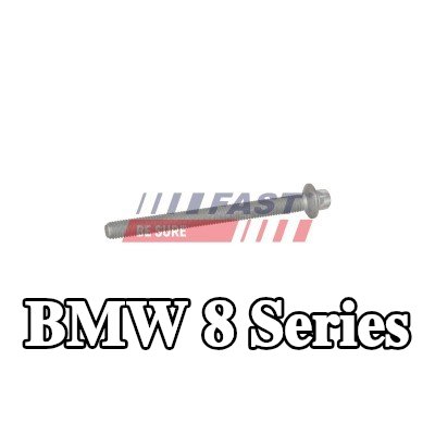 FAST برغي مشبك الحاقن — BMW 8 Series