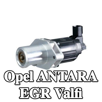 HELLA Contalı/sızdırmazlık elemanlı EGR valfi — Opel Antara