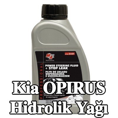 MA PROFESSIONAL Hidrolik Yağı — Kia Opirus