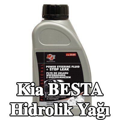 MA PROFESSIONAL Hidrolik Yağı — Kia Besta