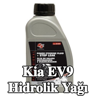 MA PROFESSIONAL Hidrolik Yağı — Kia Ev9