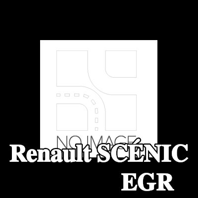 ELRING حشية أنبوب صمام EGR — Renault Scénic