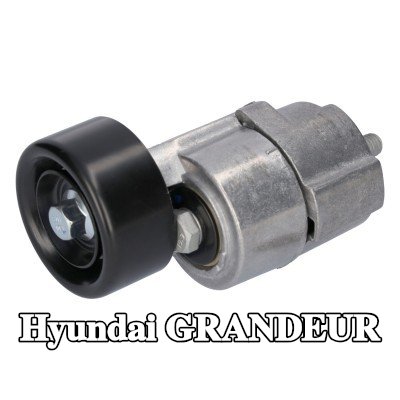 FEBI BILSTEIN مشده حزام المحرك — 2012 Hyundai Grandeur