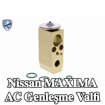ACKOJA AC genleşme valfi — 2000 Nissan Maxima