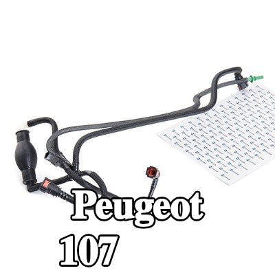 DR.MOTOR AUTOMOTIVE خط الوقود — Peugeot 107
