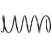 SACHS Helezon yay — Peugeot 306 (1)
