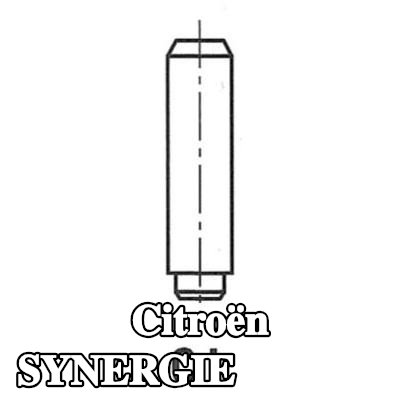 FRECCIA أدلة الصمامات — 1997 Citroën Synergie