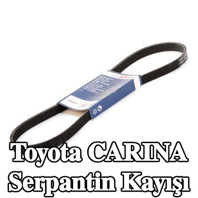 BOSCH Serpantin kayışı 970mm, Number of ribs: 5 — Toyota Carina