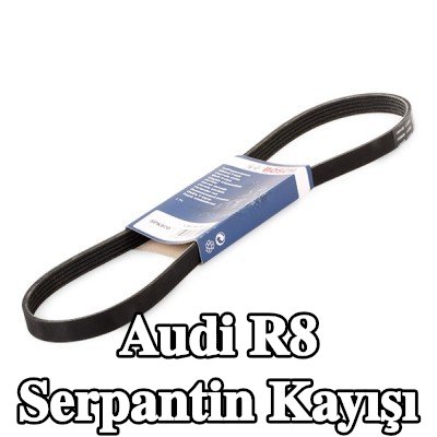 BOSCH Serpantin kayışı 970mm, Number of ribs: 5 — Audi R8