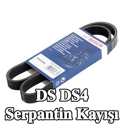 BOSCH Serpantin kayışı 1045mm, Number of ribs: 6 — 2016 DS Ds4