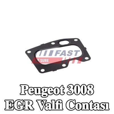 FAST EGR valfi contası — Peugeot 3008