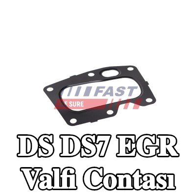 FAST EGR valfi contası — 2017 DS Ds7