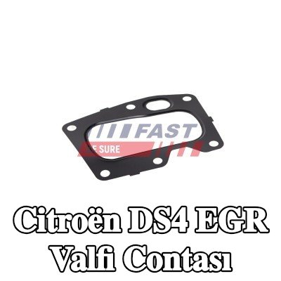 FAST EGR valfi contası — Citroën Ds4