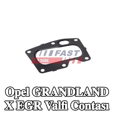 FAST EGR valfi contası — 2017 Opel Grandland X