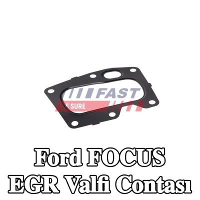 FAST EGR valfi contası — 2016 Ford Focus
