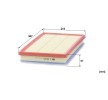 MANN-FILTER Hava filtresi — Ford Tourneo Custom (3)