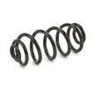 SACHS Helezon yay — BMW X5 (2)