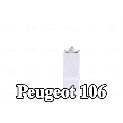NISSENS صمام تمدد تكييف الهواء — Peugeot 106