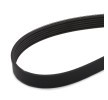 GATES V-Ribbed Kayış Seti Micro-V Kiti, Micro-V® Stretch Fit™ — Renault Avantime (3)