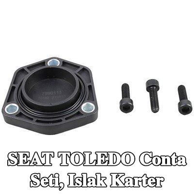 METZGER Conta seti, conta/sızdırmazlık elemanlı ıslak karter, cıvata/vida ile — 2000 SEAT Toledo