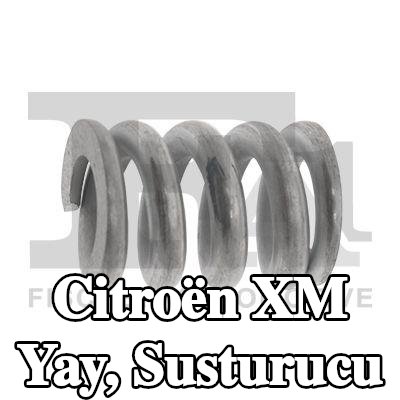 FA1 Yay, susturucu — Citroën Xm