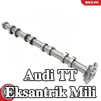 ESEN SKV Egzoz tarafı eksantrik mili — Audi Tt
