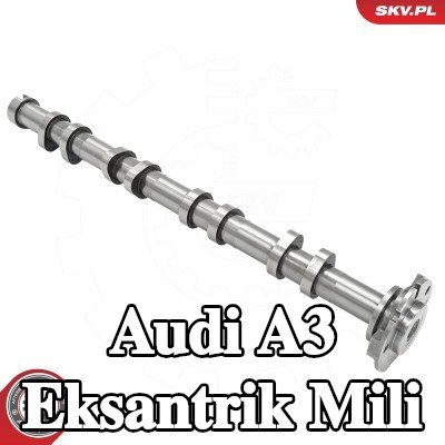 ESEN SKV Egzoz tarafı eksantrik mili — Audi A3