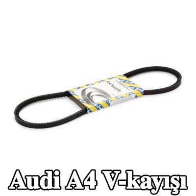 SNR V-kayışı 850mm — Audi A4