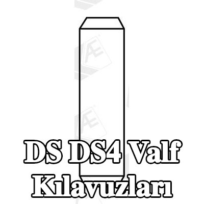 AE Valf Kılavuzları — DS Ds4