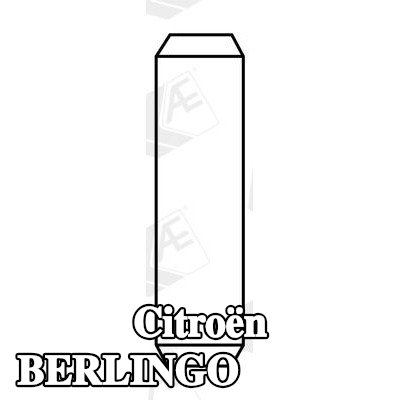 AE أدلة الصمامات — Citroën Berlingo