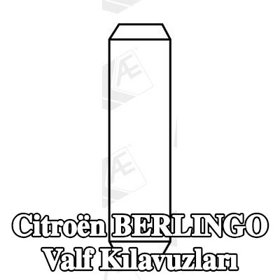 AE Valf Kılavuzları — Citroën Berlingo