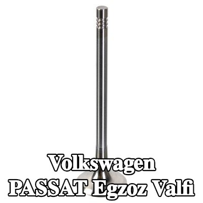 FEBI BILSTEIN Egzoz valfi — Volkswagen Passat