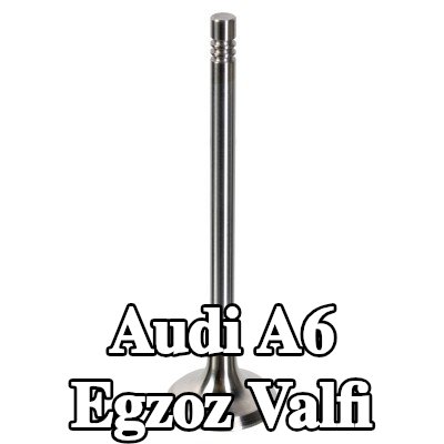 FEBI BILSTEIN Egzoz valfi — 2012 Audi A6
