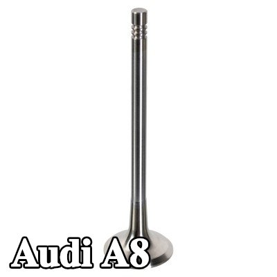 FEBI BILSTEIN صمام العادم — 2008 Audi A8