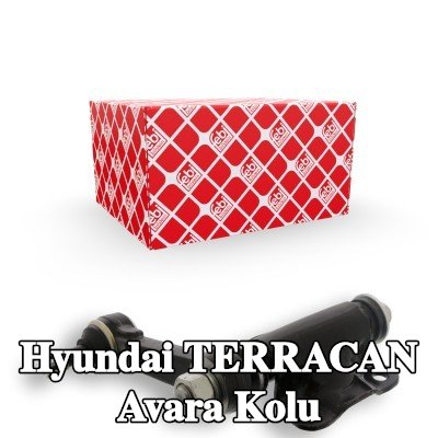 FEBI BILSTEIN Avara Kolu Ön Aks, taç somun ile — Hyundai Terracan