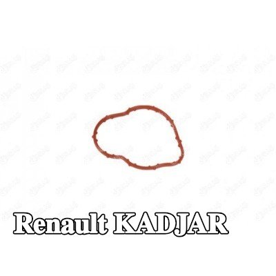 IBRAS حشية مانعة للتسرب، أنبوب سائل التبريد — Renault Kadjar