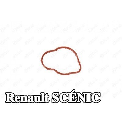 IBRAS حشية مانعة للتسرب، أنبوب سائل التبريد — Renault Scénic
