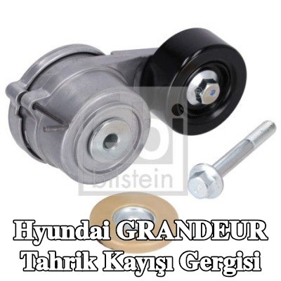 FEBI BILSTEIN Tahrik kayışı gergisi — Hyundai Grandeur