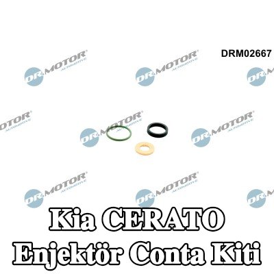 DR.MOTOR AUTOMOTIVE Enjektör conta kiti — Kia Cerato
