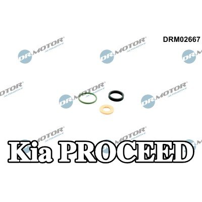DR.MOTOR AUTOMOTIVE طقم مانع تسرب الحاقن — 2016 Kia Proceed